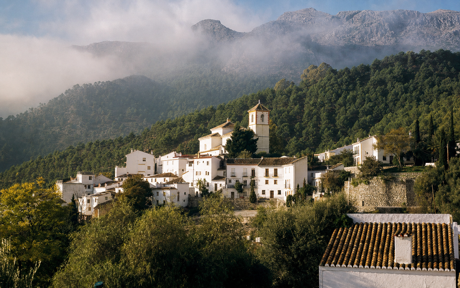 Pueblo blanco a los pies del pinsapar